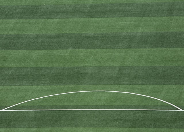 能够很大程 能够很大程