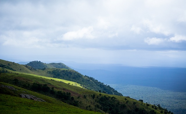 在对阵切尔 在对阵切尔