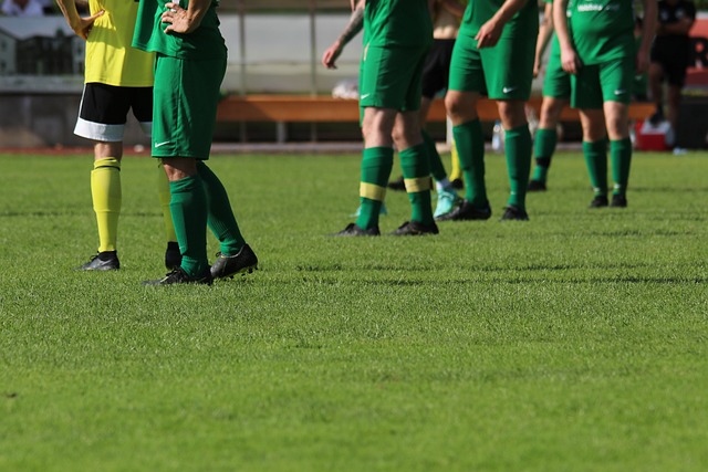 量增添了新 量增添了新